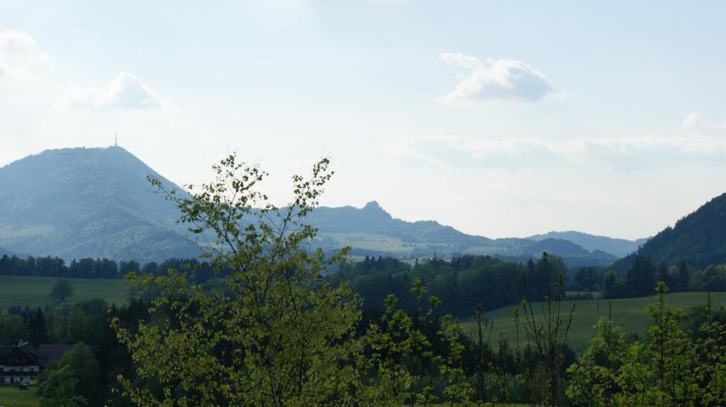 Pension Schierl Faistenau Oda fotoğraf